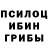 Псилоцибиновые грибы Psilocybe Mr Murzik
