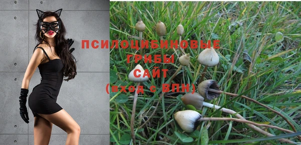 героин Богородицк