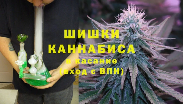 apvp Богородск