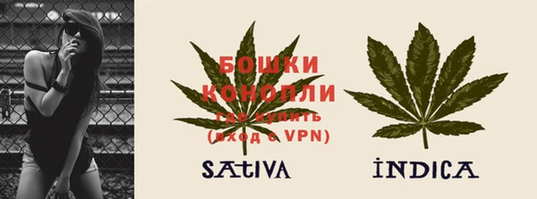 apvp Богородск