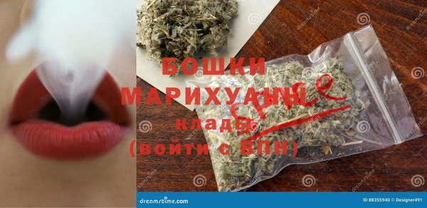 PSILOCYBIN Богданович