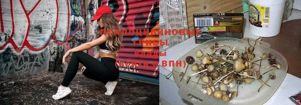 метамфетамин Бородино