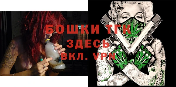 PSILOCYBIN Богданович