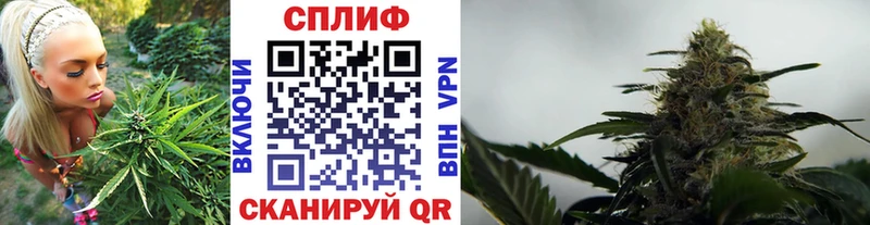 Бошки Шишки ГИДРОПОН  сколько стоит  Котово 